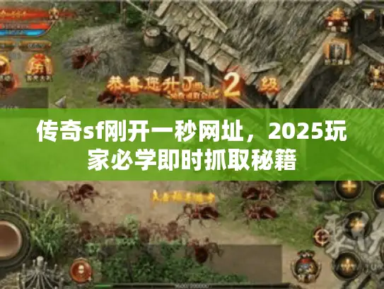 传奇sf刚开一秒网址，2025玩家必学即时抓取秘籍
