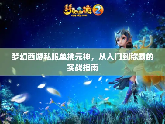 梦幻西游私服单挑元神,从入门到称霸的实战指南 梦幻西游私服单挑元神,从入门到称霸的实战指南