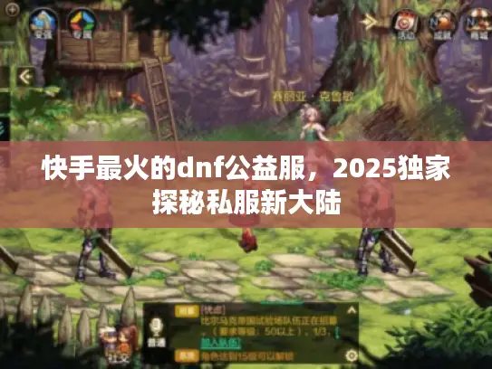 快手最火的dnf公益服，2025独家探秘私服新大陆