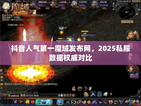 抖音人气第一魔域发布网,2025私服数据权威对比 抖音人气第一魔域发布网,2025私服数据权威对比