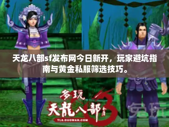 天龙八部sf发布网今日新开，玩家避坑指南与黄金私服筛选技巧。