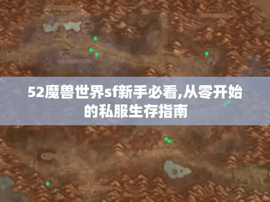 52魔兽世界sf新手必看,从零开始的私服生存指南