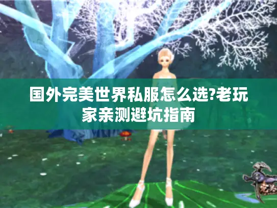 国外完美世界私服怎么选?老玩家亲测避坑指南