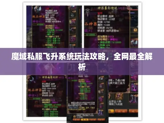 魔域私服飞升系统玩法攻略，全网最全解析