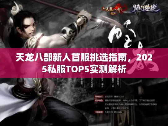 天龙八部新人首服挑选指南，2025私服TOP5实测解析