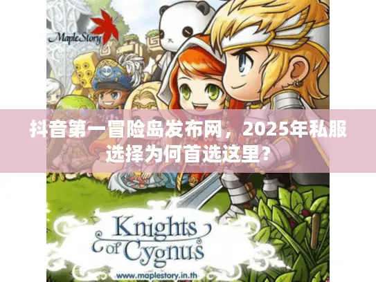 抖音第一冒险岛发布网，2025年私服选择为何首选这里？