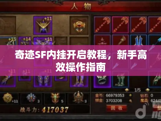 奇迹SF内挂开启教程，新手高效操作指南