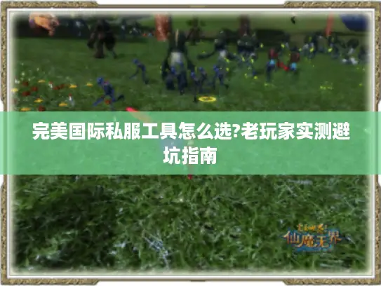 完美国际私服工具怎么选?老玩家实测避坑指南