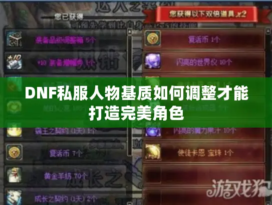DNF私服人物基质如何调整才能打造完美角色