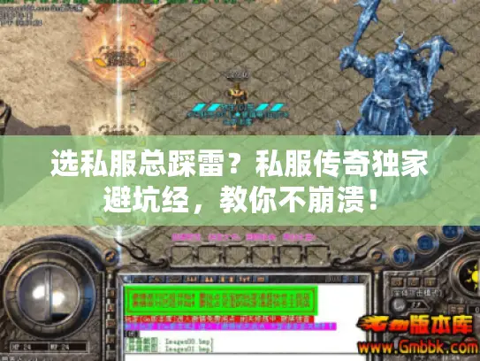 选私服总踩雷？私服传奇独家避坑经，教你不崩溃！