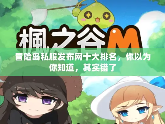 冒险岛私服发布网十大排名，你以为你知道，其实错了