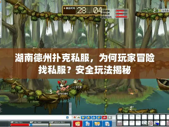 湖南德州扑克私服，为何玩家冒险找私服？安全玩法揭秘