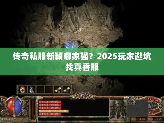 传奇私服新颖哪家强?2025玩家避坑找真香服 传奇私服新颖哪家强?2025玩家避坑找真香服