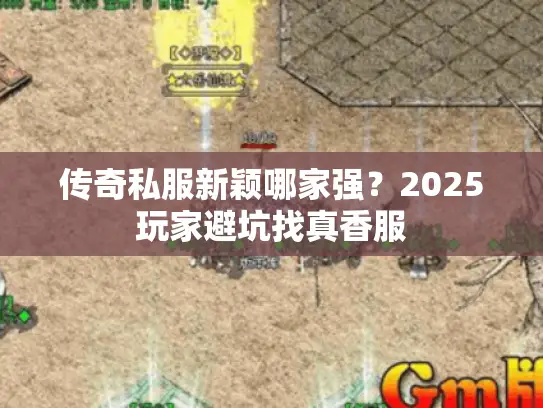 传奇私服新颖哪家强?2025玩家避坑找真香服 传奇私服新颖哪家强?2025玩家避坑找真香服
