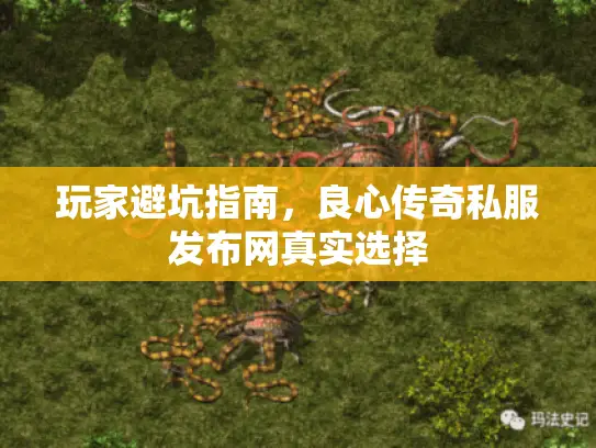 玩家避坑指南，良心传奇私服发布网真实选择