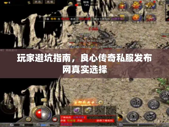 玩家避坑指南，良心传奇私服发布网真实选择