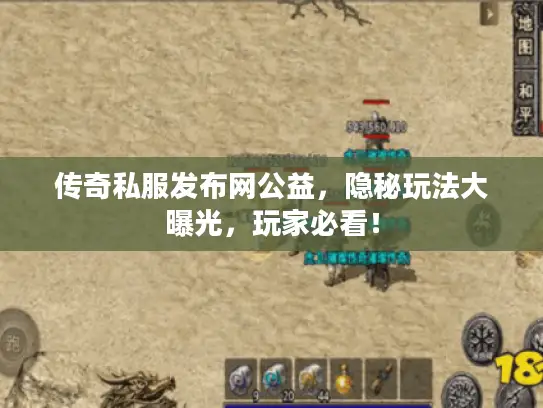 传奇私服发布网公益，隐秘玩法大曝光，玩家必看！