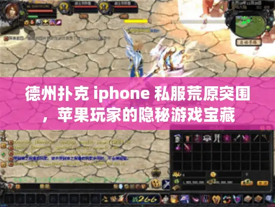 德州扑克 iphone 私服荒原突围，苹果玩家的隐秘游戏宝藏
