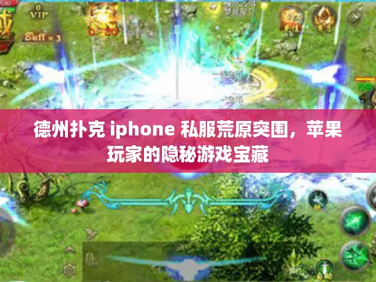 德州扑克 iphone 私服荒原突围，苹果玩家的隐秘游戏宝藏