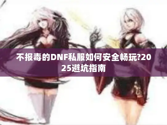 不报毒的DNF私服如何安全畅玩?2025避坑指南