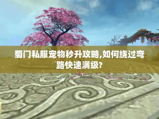 蜀门私服宠物秒升攻略,如何绕过弯路快速满级?