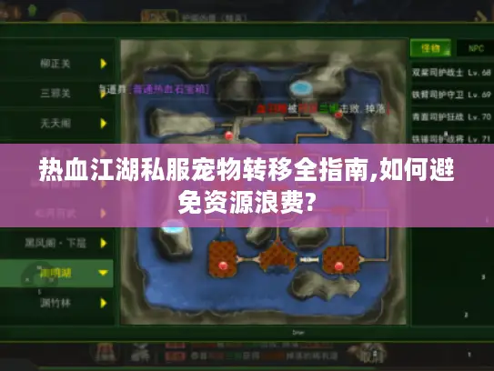 热血江湖私服宠物转移全指南,如何避免资源浪费?