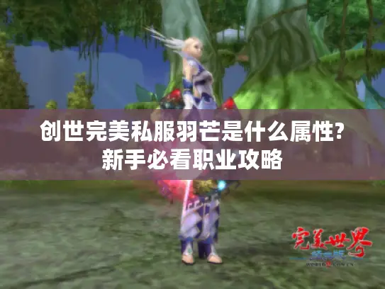 创世完美私服羽芒是什么属性?新手必看职业攻略