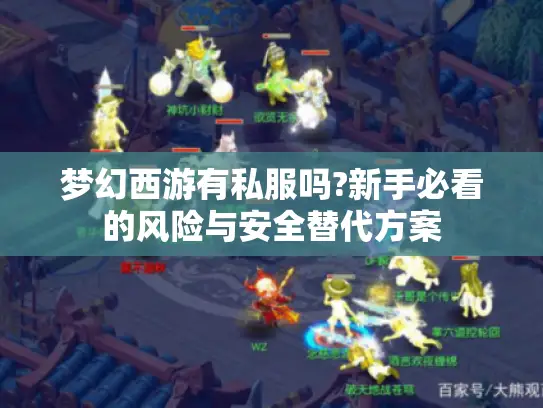 梦幻西游有私服吗?新手必看的风险与安全替代方案