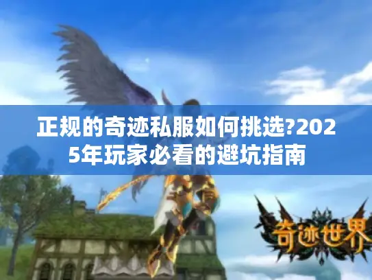正规的奇迹私服如何挑选?2025年玩家必看的避坑指南