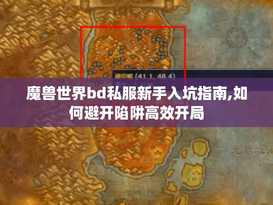 魔兽世界bd私服新手入坑指南,如何避开陷阱高效开局