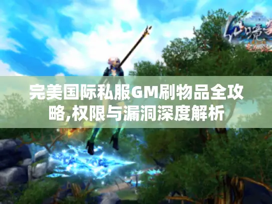 完美国际私服GM刷物品全攻略,权限与漏洞深度解析