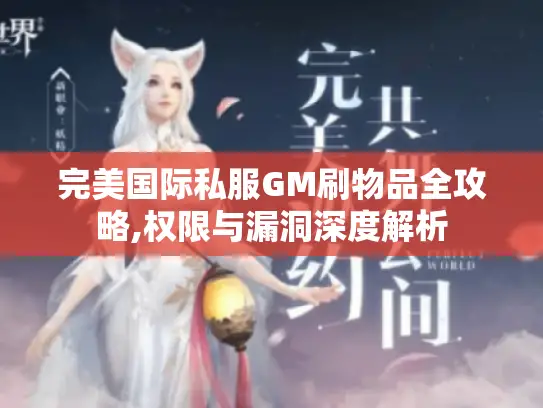 完美国际私服GM刷物品全攻略,权限与漏洞深度解析