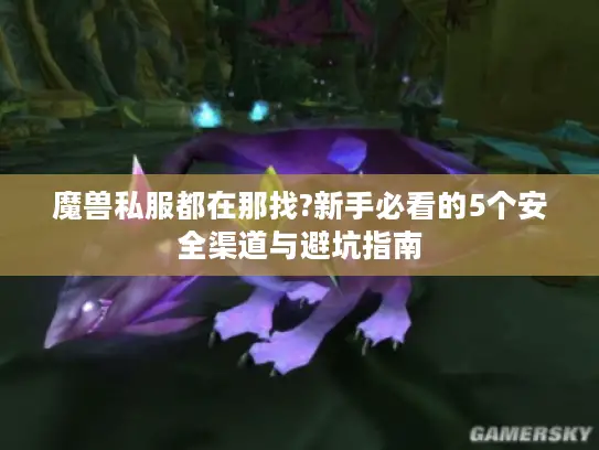 魔兽私服都在那找?新手必看的5个安全渠道与避坑指南