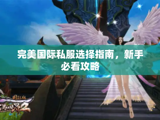 完美国际私服选择指南，新手必看攻略