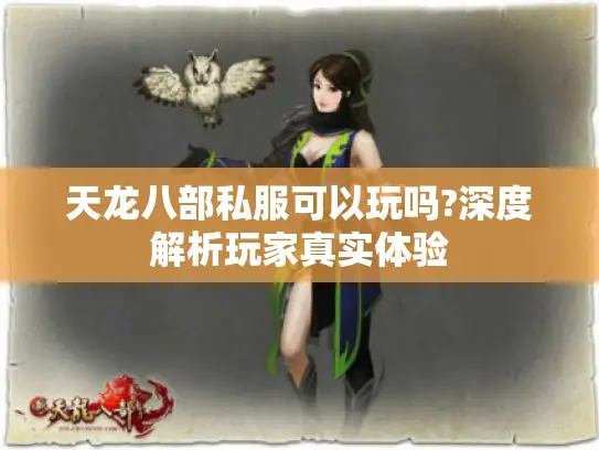 天龙八部私服可以玩吗?深度解析玩家真实体验