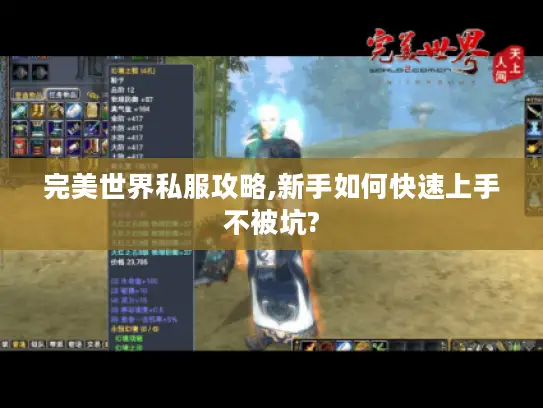 完美世界私服攻略,新手如何快速上手不被坑?