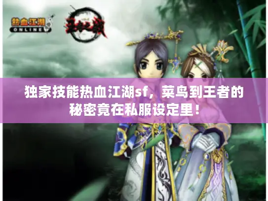 独家技能热血江湖sf，菜鸟到王者的秘密竟在私服设定里！
