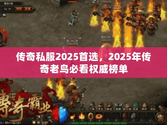 传奇私服2025首选，2025年传奇老鸟必看权威榜单