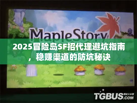 2025冒险岛SF招代理避坑指南,稳赚渠道的防坑秘诀 2025冒险岛SF招代理避坑指南,稳赚渠道的防坑秘诀
