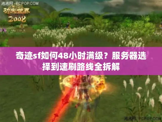 奇迹sf如何48小时满级?服务器选择到速刷路线全拆解 奇迹sf如何48小时满级?服务器选择到速刷路线全拆解