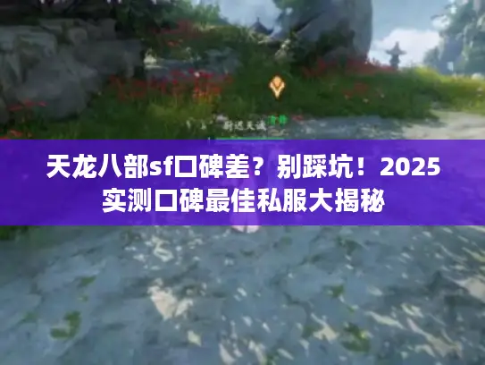 天龙八部sf口碑差？别踩坑！2025实测口碑最佳私服大揭秘
