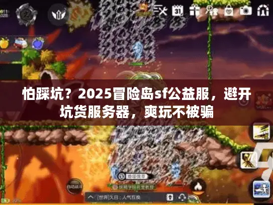 怕踩坑？2025冒险岛sf公益服，避开坑货服务器，爽玩不被骗