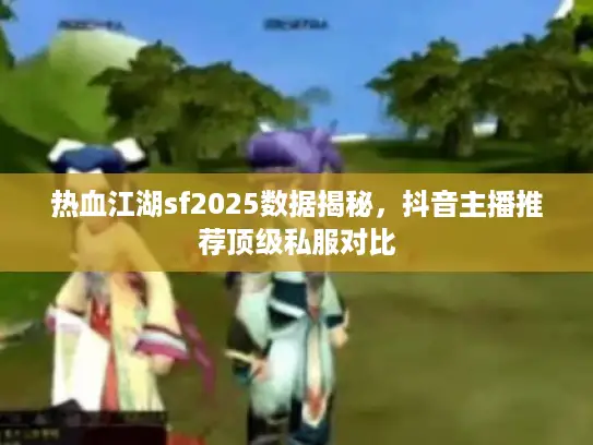 热血江湖sf2025数据揭秘，抖音主播推荐顶级私服对比