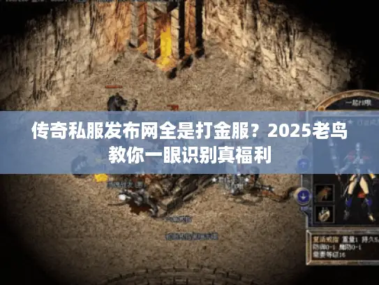 传奇私服发布网全是打金服？2025老鸟教你一眼识别真福利