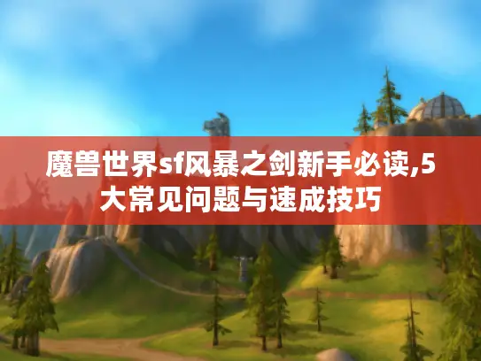 魔兽世界sf风暴之剑新手必读,5大常见问题与速成技巧