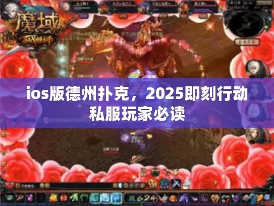 ios版德州扑克，2025即刻行动私服玩家必读