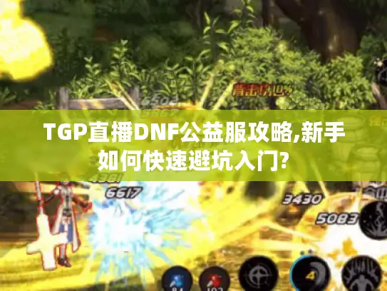 TGP直播DNF公益服攻略,新手如何快速避坑入门?