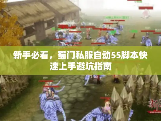 新手必看，蜀门私服自动55脚本快速上手避坑指南