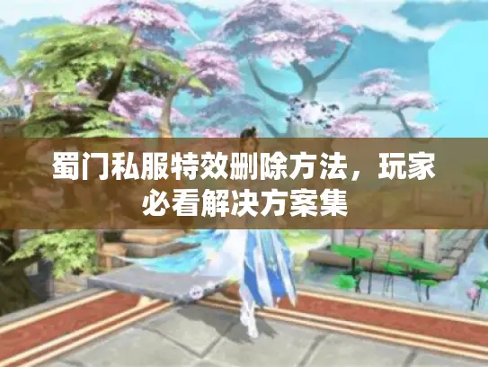 蜀门私服特效删除方法，玩家必看解决方案集