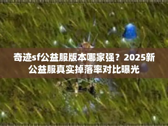 奇迹sf公益服版本哪家强?2025新公益服真实掉落率对比曝光 奇迹sf公益服版本哪家强?2025新公益服真实掉落率对比曝光